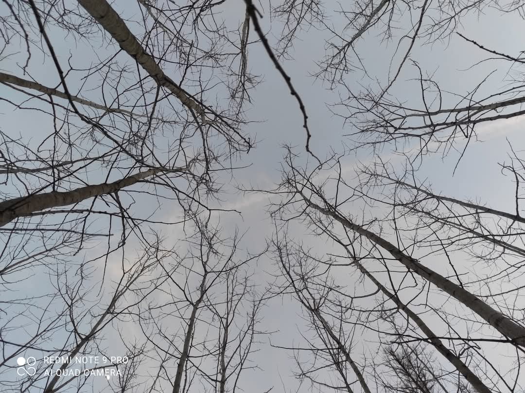 Intro image